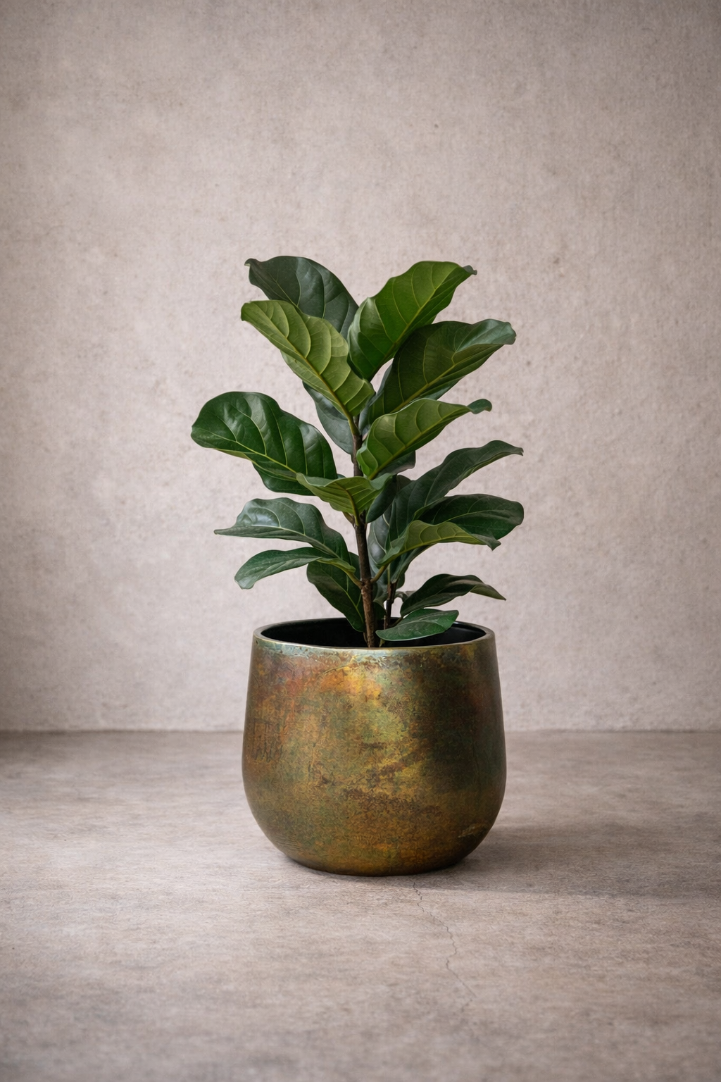 Cache-pot fait main Elisa Vintage Green en métal patiné – Pot décoratif rustique chic pour intérieur