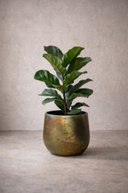 Cache-pot fait main Elisa Vintage Green en métal patiné – Pot décoratif rustique chic pour intérieur