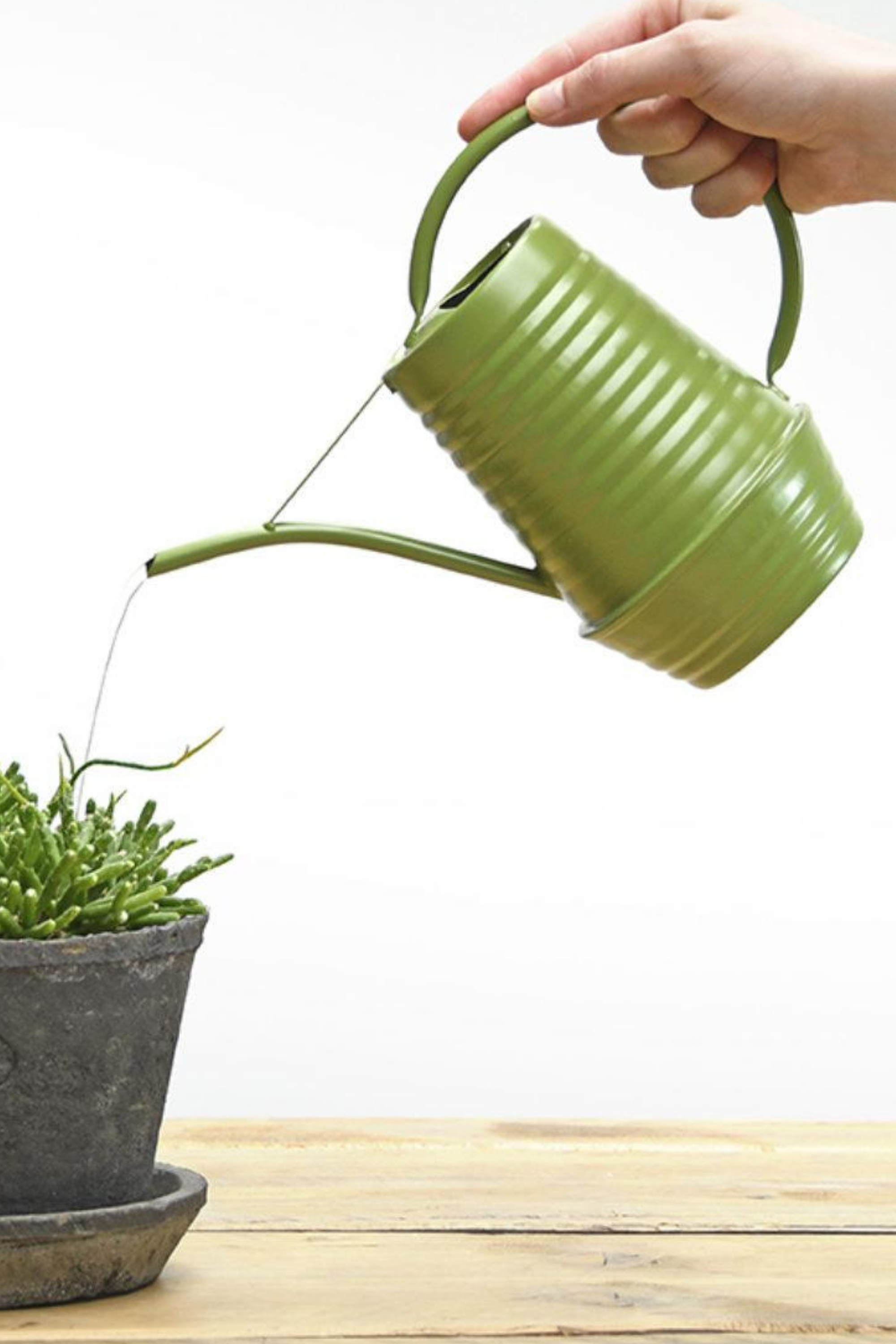 Arrosoir d’intérieur en zinc 1 L – Bec long et poignée ergonomique pour arrosage précis