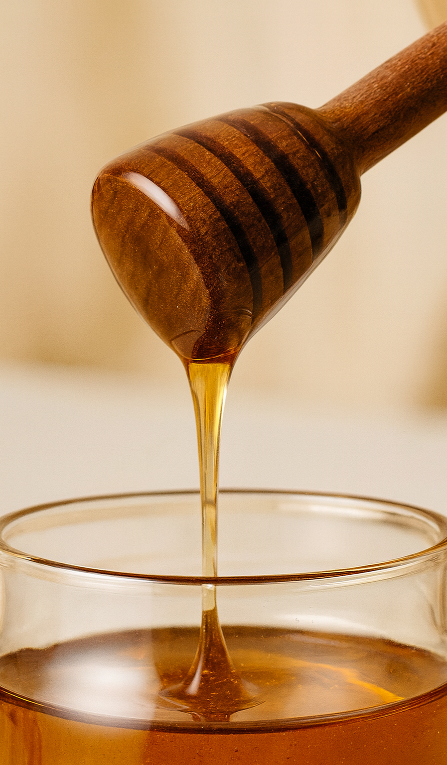 Pot à miel en verre borosilicate avec couvercle bois & dip stick, pot hermétique 350 ml | Accessoire cuisine & déco naturelle