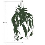 Begonia Maculata artificielle 80 cm – Plante décorative à pois ultra-réaliste