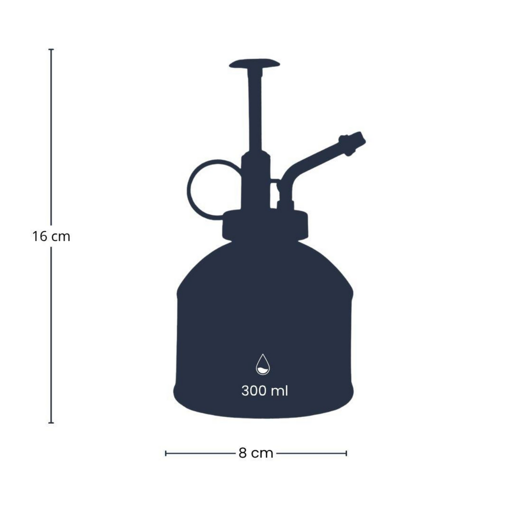 Vaporisateur d’Arrosage 300 ml – Verre & Acier Inoxydable Premium (Doré, Argenté ou Transparent)