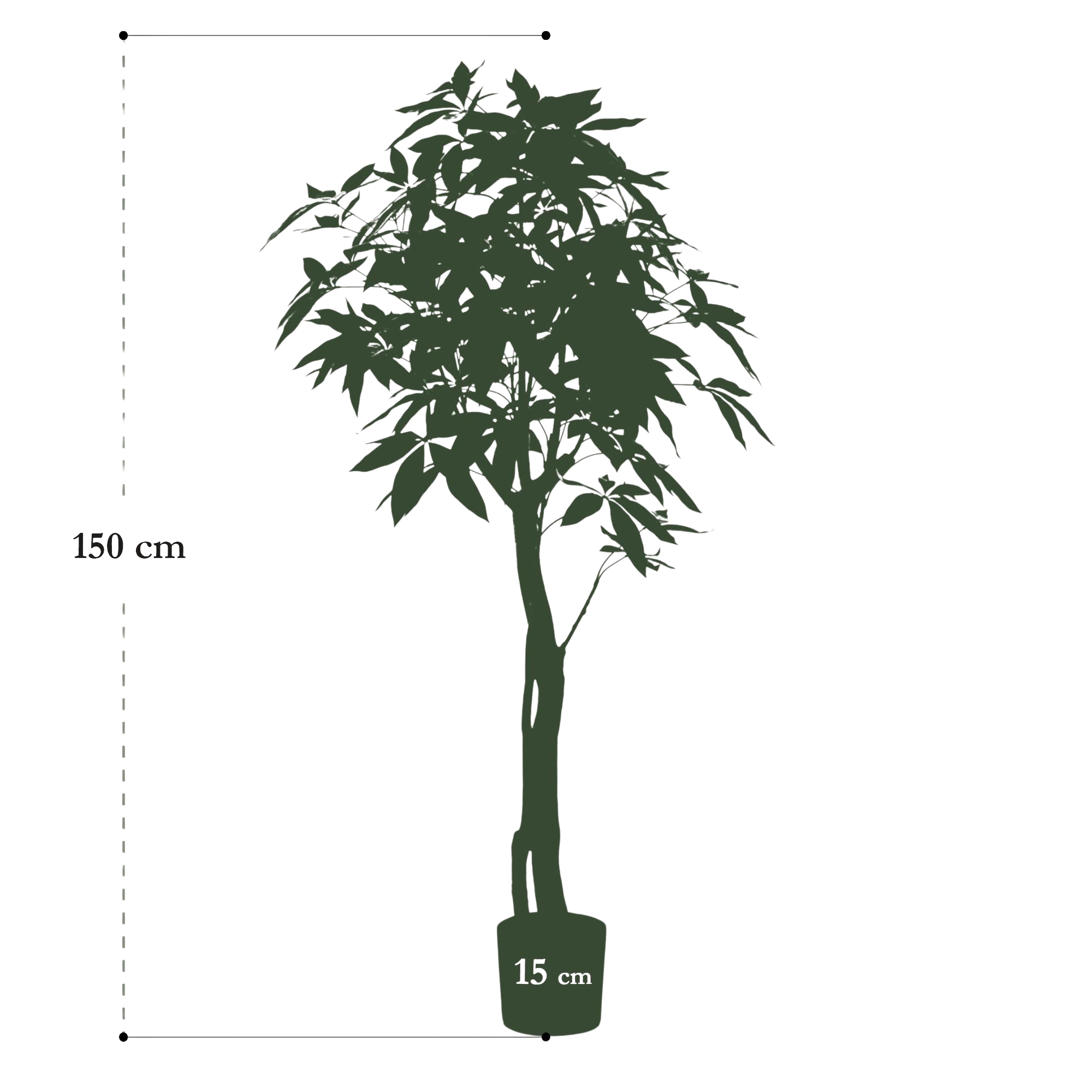 Pachira Aquatica artificielle – Arbre à Argent décoratif ultra réaliste, 150 & 180 cm