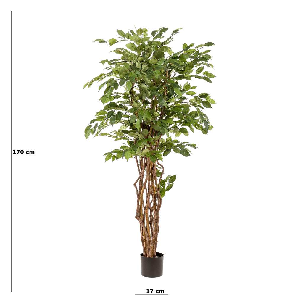 Ficus Liana artificiel 170 cm – Plante artificielle Ficus décorative réaliste