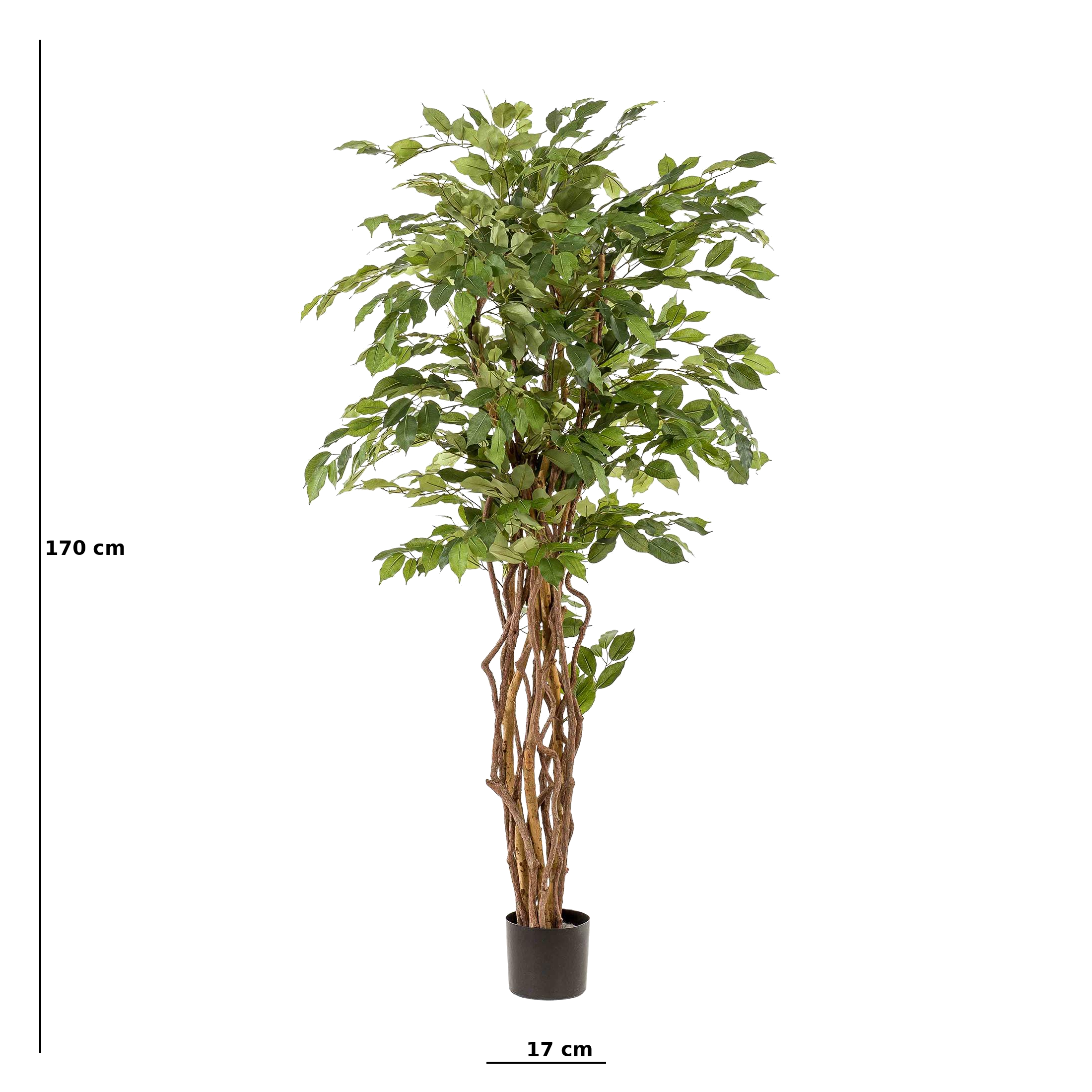 Ficus Liana artificiel 170 cm – Plante artificielle Ficus décorative réaliste