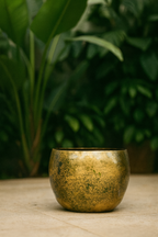 Cache-pot Ellen Brass – Laiton décoratif Ø25xH19, Ø30xH25, Ø38xH31