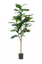 Ficus Lyrata Artificiel – Plante décorative premium – 90 à 180 cm