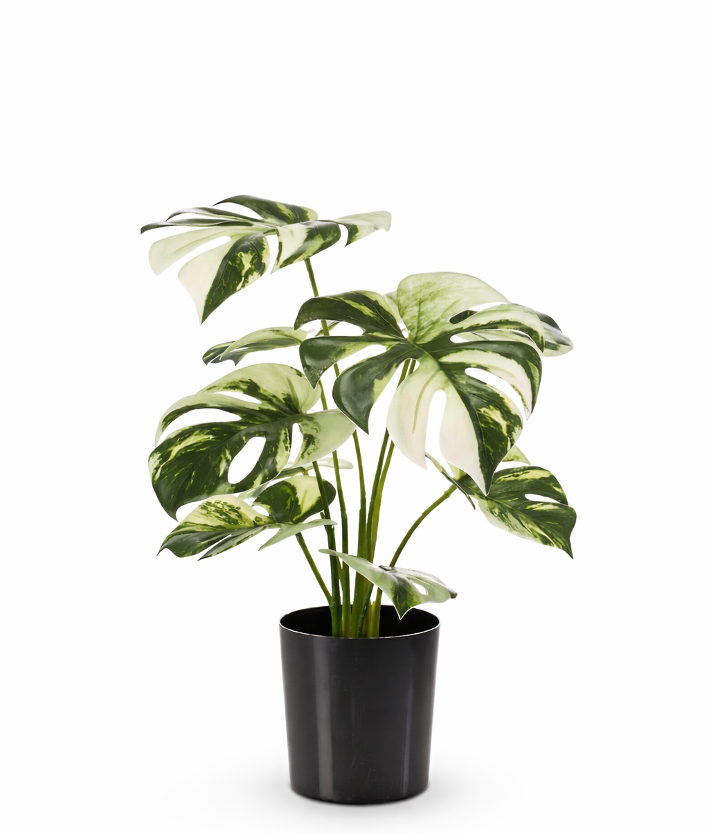 Artificial Monstera Variegata 40cm in a pot – Green &amp; white decorative plant with no maintenance