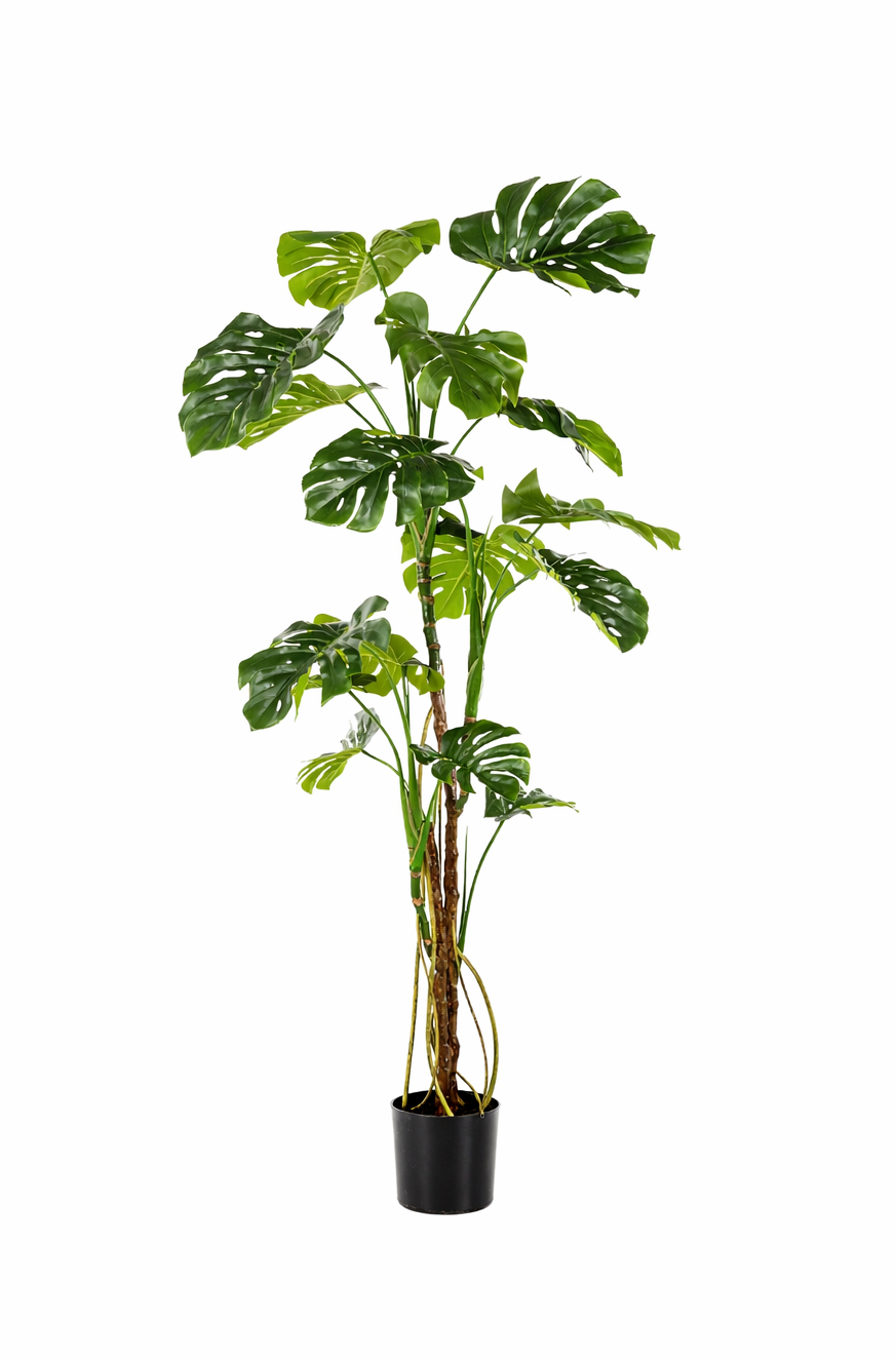 Monstera artificielle 180 cm – Plante tropicale décorative grand format
