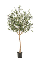 Olivier artificiel (Olea Europaea) — Arbre emblématique du Sud, feuillage réaliste & sans entretien - 115 cm à 180 cm