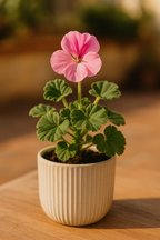 Lombricompost 3L – Amendement organique naturel