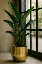 Jenna Gold – Cache-pot doré en céramique premium | Ø29, Ø39, Ø46