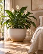 Eggy Taupe – XXL Pot – Ø55 × H43 cm