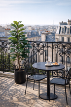 Ficus Lyrata Artificiel – Plante décorative premium – 90 à 180 cm