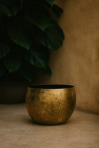 Cache-pot Ellen Brass – Laiton décoratif Ø25xH19, Ø30xH25, Ø38xH31