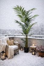 Kentia artificiel 210 cm – Palmier décoratif tropical ultra-réaliste pour intérieur