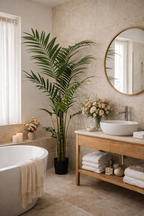 Kentia artificiel 210 cm – Palmier décoratif tropical ultra-réaliste pour intérieur