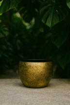 Cache-pot Ellen Brass – Laiton décoratif Ø25xH19, Ø30xH25, Ø38xH31