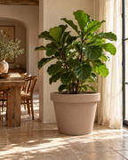 Lira Taupe – XXL stone-effect pot – Ø65 / Ø75 cm