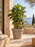 Lira Taupe – XXL stone-effect pot – Ø65 / Ø75 cm