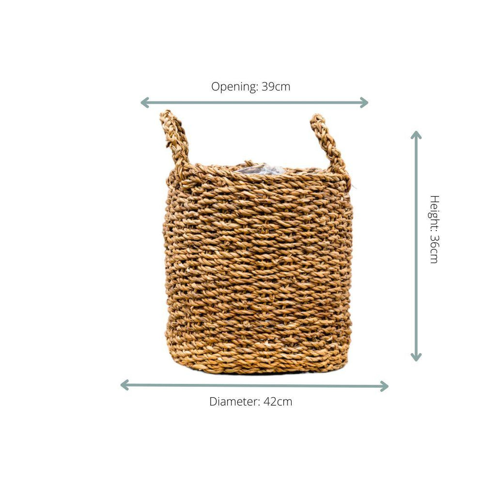 Jack Natural Fiber Plant Pot – Decorative Woven Plant Pot for Indoor Plants (5 sizes)