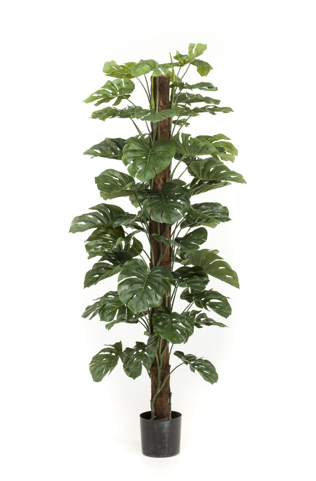 Monstera Deliciosa artificielle – Plante décorative iconique & ultra-réaliste - 65 cm à 180 cm