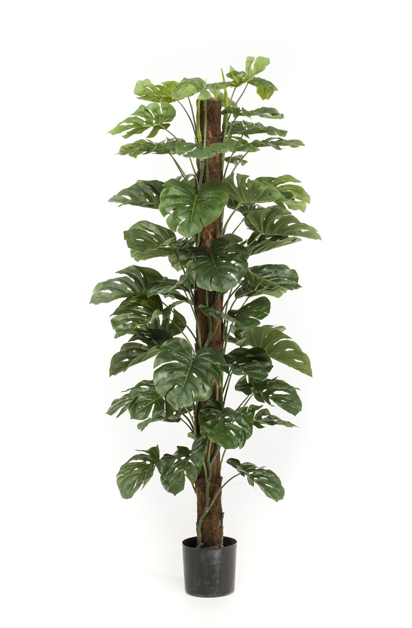 Monstera Deliciosa artificielle – Plante décorative iconique & ultra-réaliste - 65 cm à 180 cm