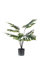 Monstera Deliciosa artificielle – Plante décorative iconique & ultra-réaliste - 65 cm à 180 cm