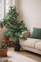 Monstera Deliciosa artificielle – Plante décorative iconique & ultra-réaliste - 65 cm à 180 cm