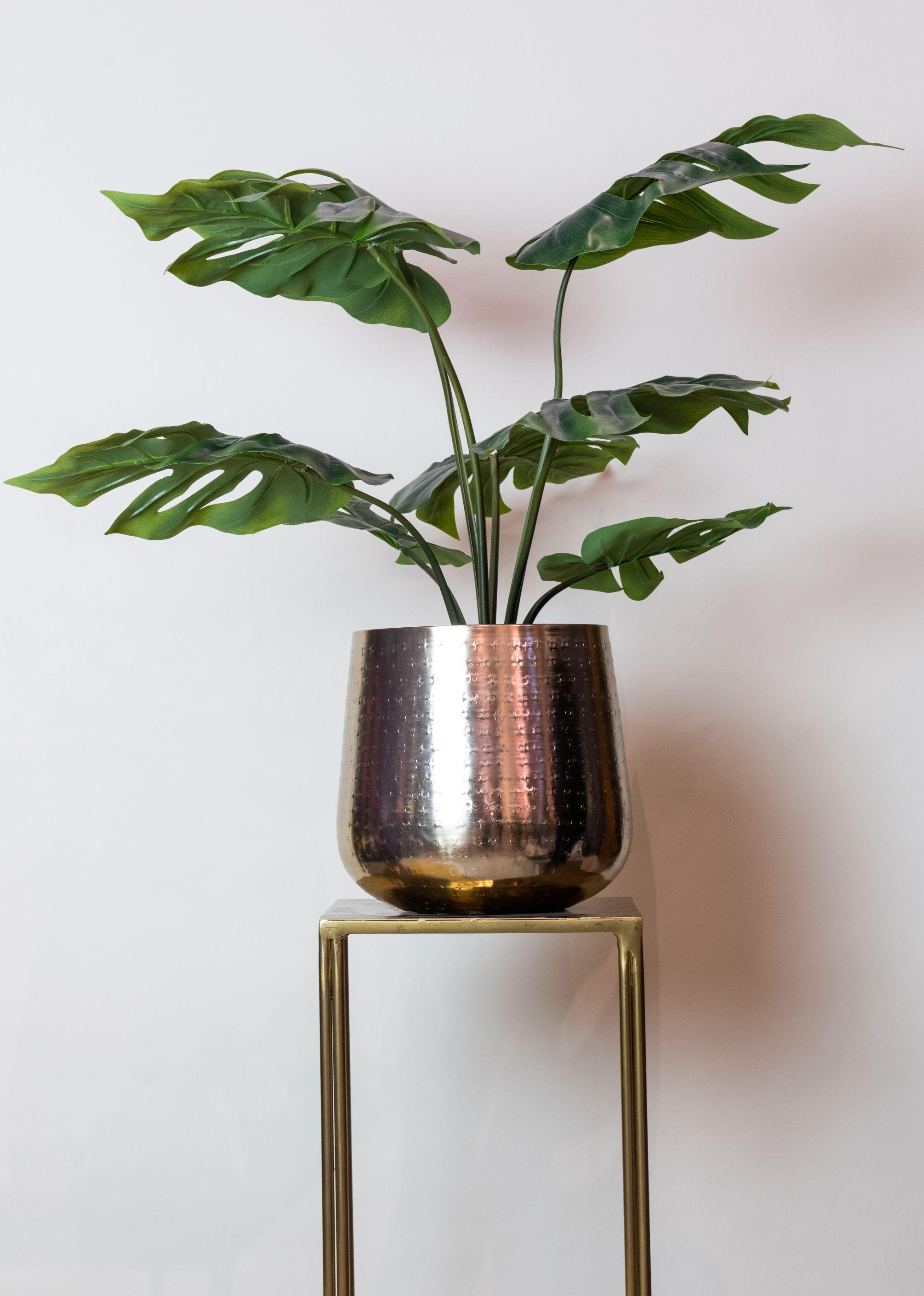 Monstera Deliciosa artificielle – Plante décorative iconique & ultra-réaliste - 65 cm à 180 cm