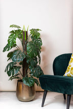 Monstera Deliciosa artificielle – Plante décorative iconique & ultra-réaliste - 65 cm à 180 cm