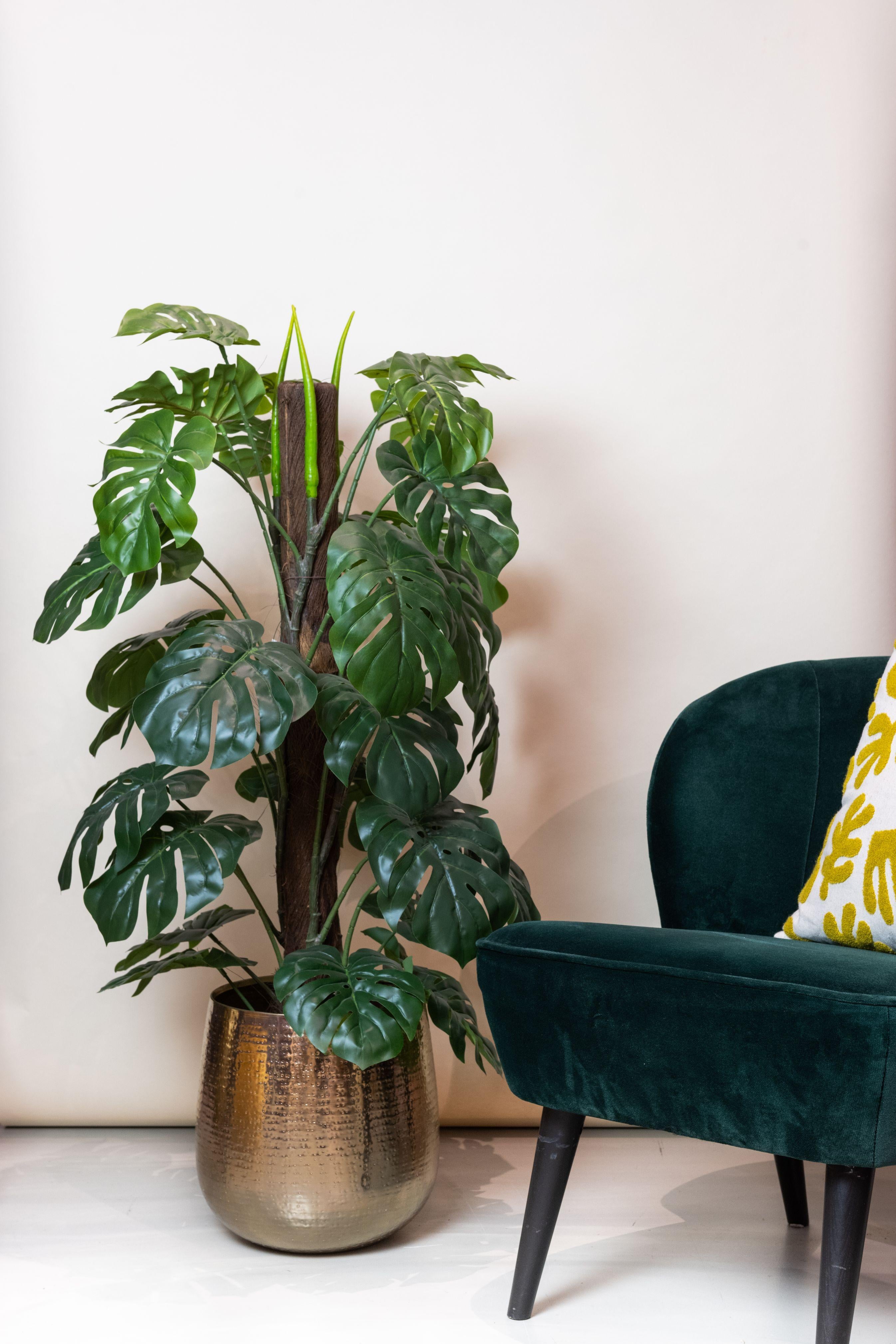 Monstera Deliciosa artificielle – Plante décorative iconique & ultra-réaliste - 65 cm à 180 cm