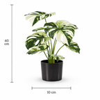 Artificial Monstera Variegata 40cm in a pot – Green &amp; white decorative plant with no maintenance