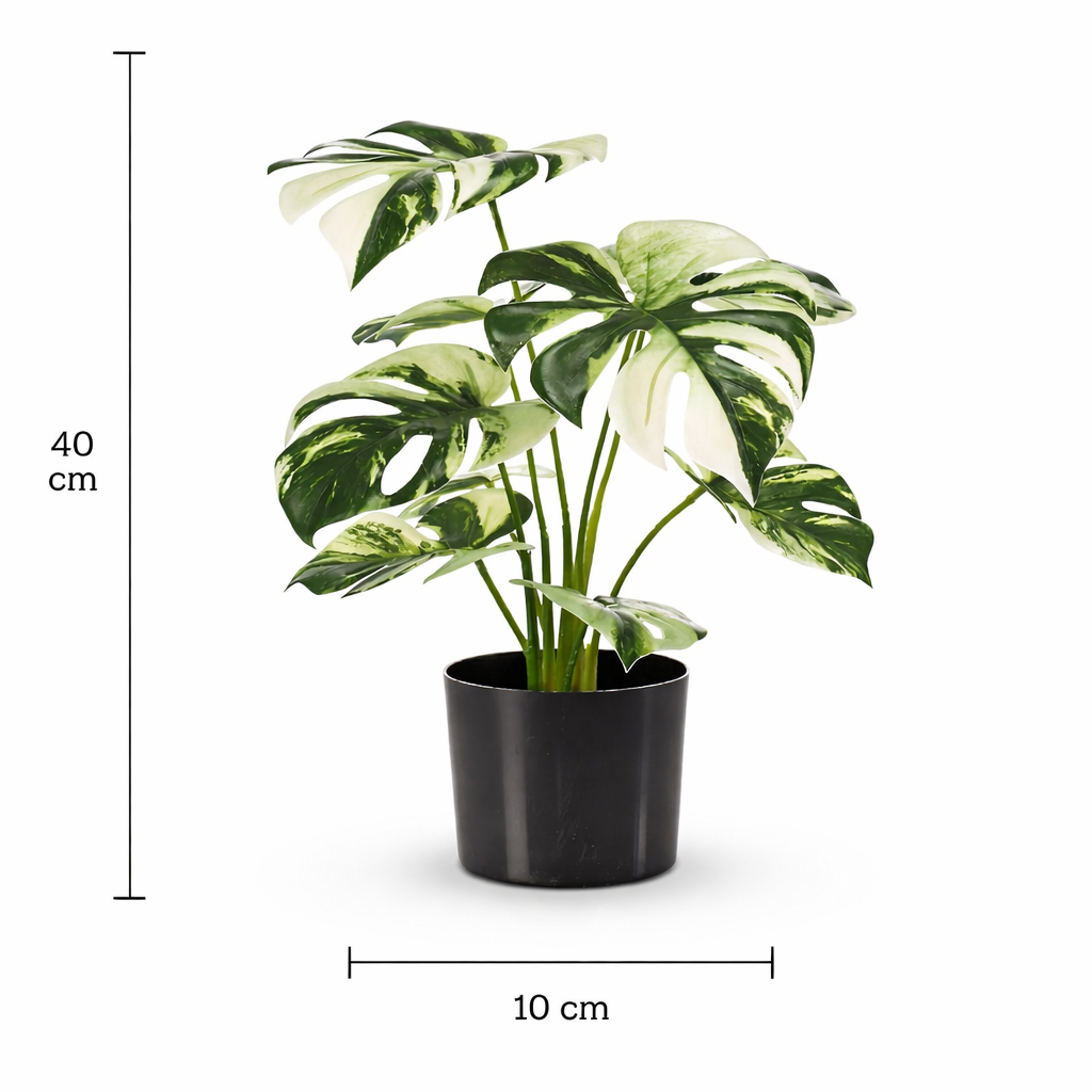 Artificial Monstera Variegata 40cm in a pot – Green &amp; white decorative plant with no maintenance