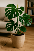 Lombricompost 3L – Amendement organique naturel