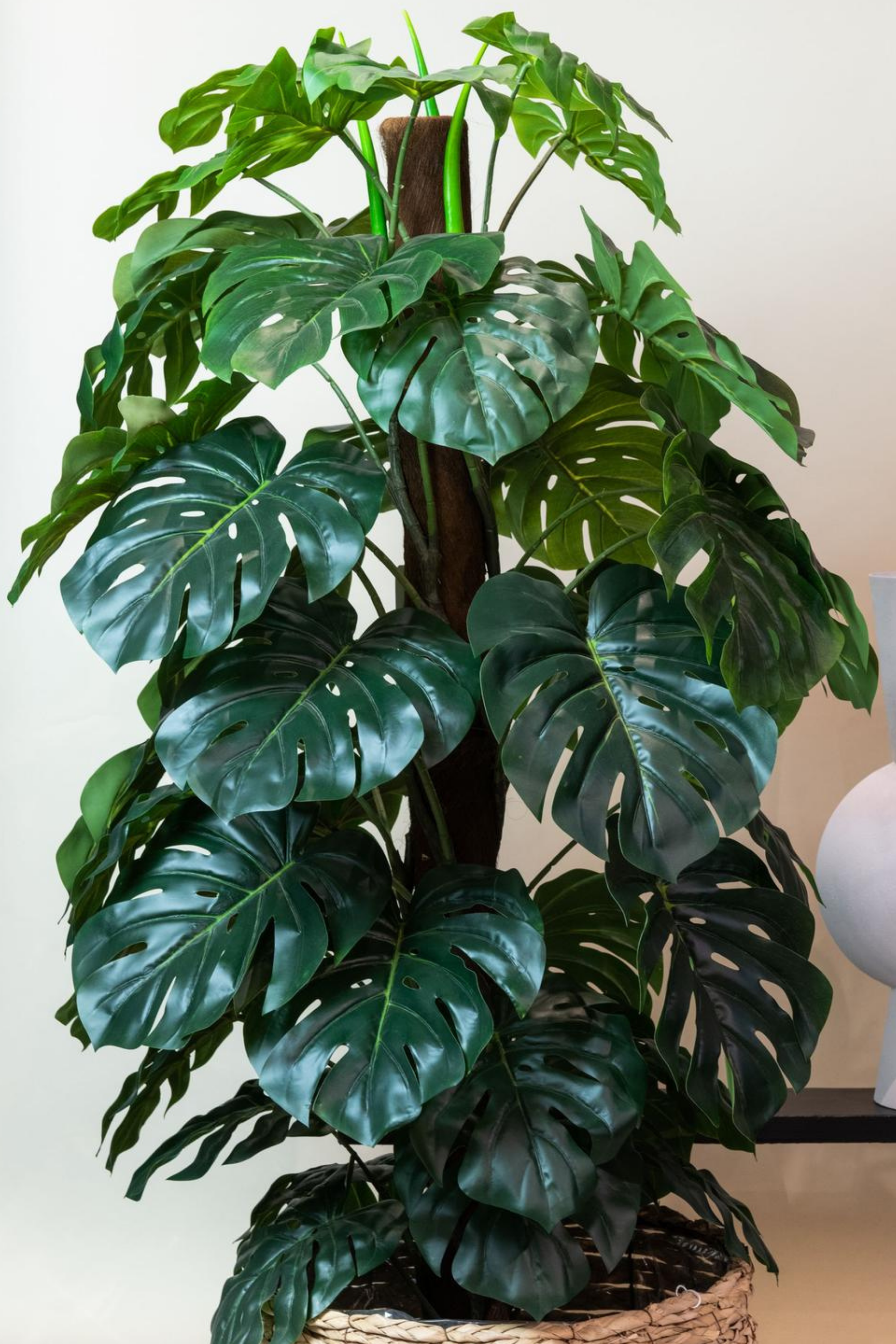 Monstera Deliciosa artificielle – Plante décorative iconique & ultra-réaliste - 65 cm à 180 cm