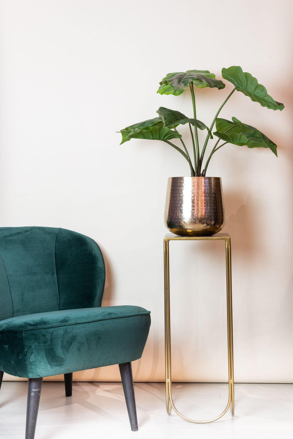 Alocasia artificielle — Olifantsoor — Plante d’intérieur design — 70 cm, 150 cm & 180 cm