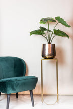 Alocasia artificielle — Olifantsoor — Plante d’intérieur design — 70 cm, 150 cm & 180 cm