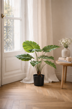 Alocasia artificielle — Olifantsoor — Plante d’intérieur design — 70 cm, 150 cm & 180 cm