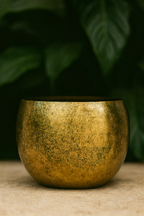 Cache-pot Ellen Brass – Laiton décoratif Ø25xH19, Ø30xH25, Ø38xH31