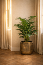 Vintage Gold Indigo Pot – Vintage gold metal planter – Ø33 / Ø46 / Ø58