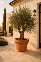 Lira Terra Terracotta XXL – Flower Pot & Cachepot Ø85 x H76 cm