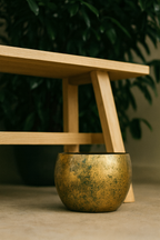 Cache-pot Ellen Brass – Laiton décoratif Ø25xH19, Ø30xH25, Ø38xH31