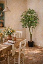 Pachira Aquatica artificielle – Arbre à Argent décoratif ultra réaliste, 150 & 180 cm