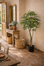 Pachira Aquatica artificielle – Arbre à Argent décoratif ultra réaliste, 150 & 180 cm