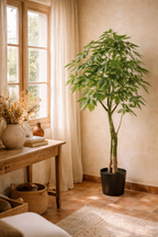 Pachira Aquatica artificielle – Arbre à Argent décoratif ultra réaliste, 150 & 180 cm