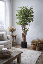 Ficus Liana artificiel 170 cm – Plante artificielle Ficus décorative réaliste