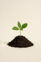 Terreau Universel Culvita 40 L – Substrat de culture premium pour plantes d’intérieur et d’extérieur | Nourriture 6 semaines