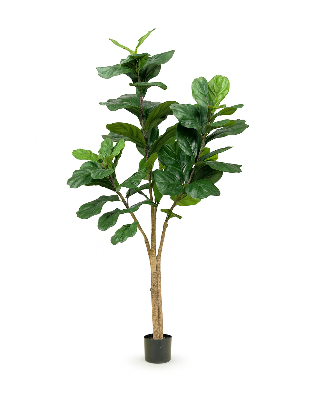 Ficus Lyrata Artificiel – Plante décorative premium – 90 à 180 cm