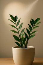 Spray Brillance Feuillage – Bladglans Professionnel 250 ml / 750 ml